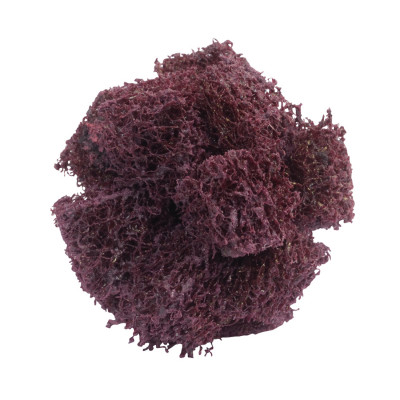 Norton BearTex High Strength Buff  1-1/2
